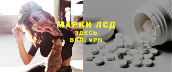 ПСИЛОЦИБИНОВЫЕ ГРИБЫ Няндома