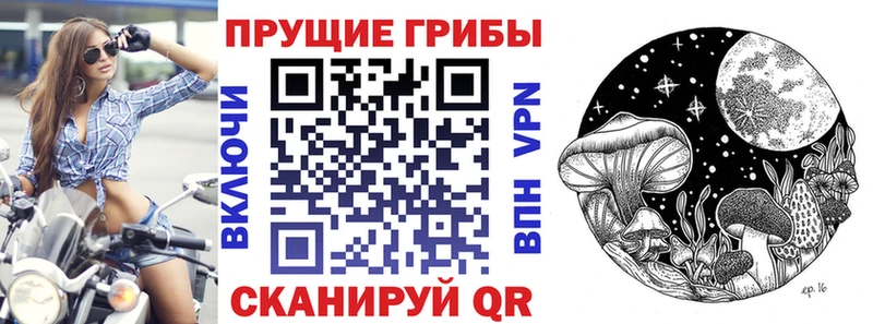 Галлюциногенные грибы Psilocybe где найти Соль-Илецк