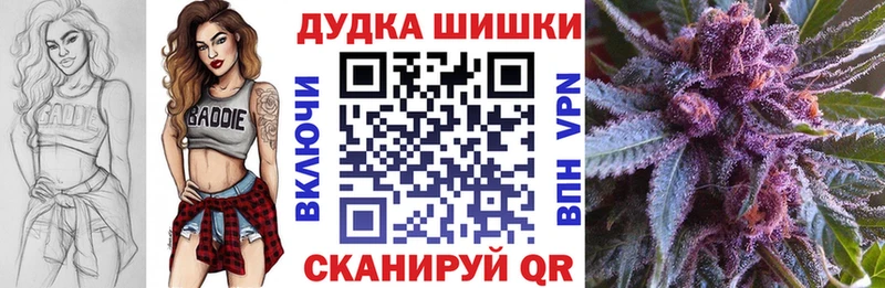 Бошки Шишки ГИДРОПОН купить цена Соль-Илецк